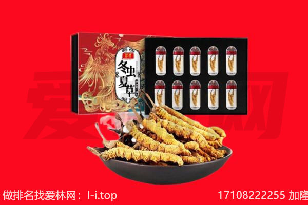 阿图什市回收虫草.jpg